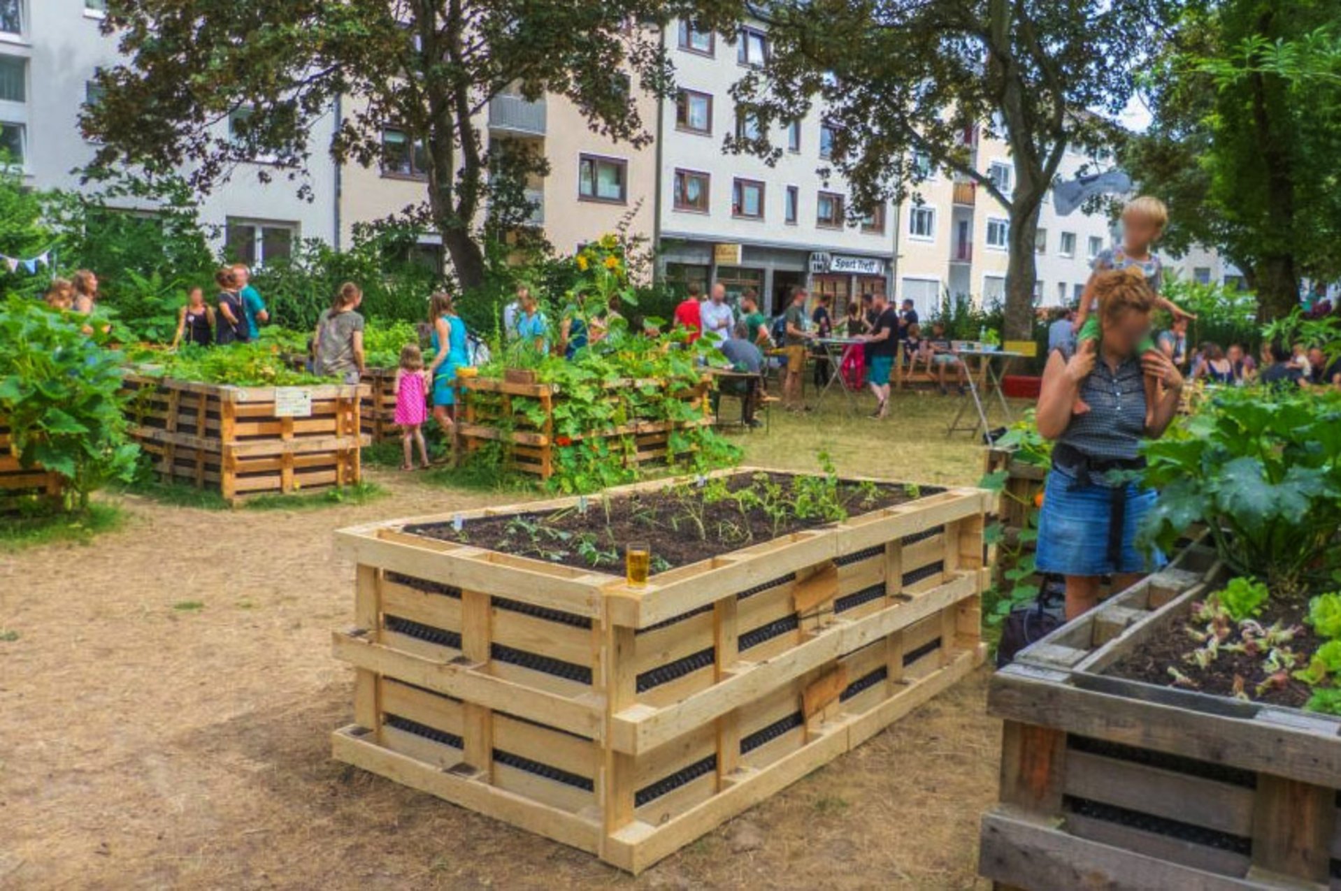 StadtFrüchtchen StadtFrüchtchen